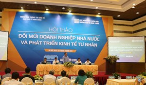 Cần làm gì để thúc đẩy kinh tế tư nhân phát triển mạnh mẽ? (25/6/2017)